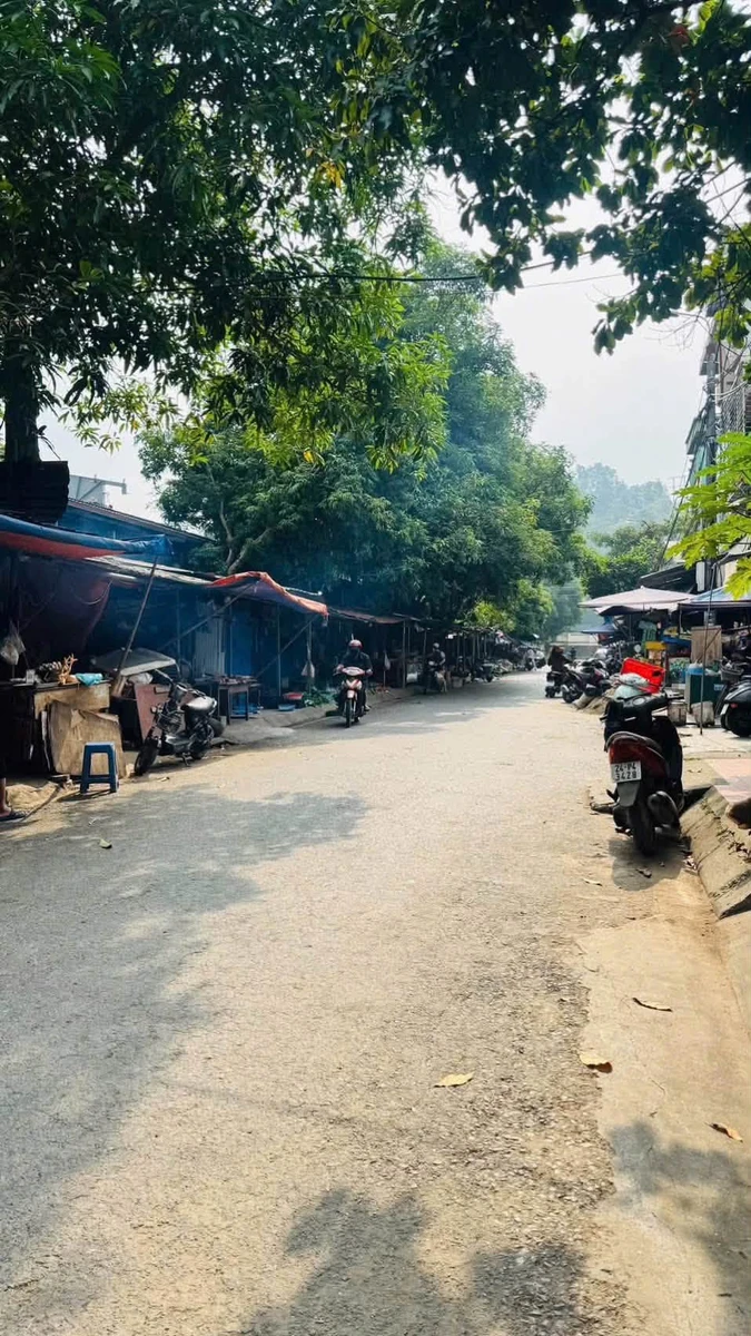 Bán đất chợ Làng Đen 194m² kinh doanh - Ảnh thu nhỏ 3