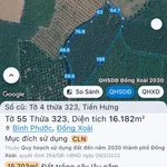 Bán đất Hóc Môn 1.6 hectare 5 tỷ - Ảnh thu nhỏ 2