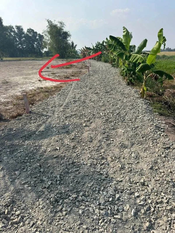 Bán 149m đất thổ cư Phước Đông, Cần Dước 300 triệu
