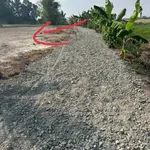 Bán 149m đất thổ cư Phước Đông, Cần Dước 300 triệu - Ảnh thu nhỏ 1