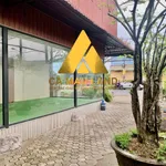 Cho thuê nhà mặt tiền Quốc Lộ 1A, 160m², 6 triệu/tháng, Cà Mau - Ảnh thu nhỏ 2