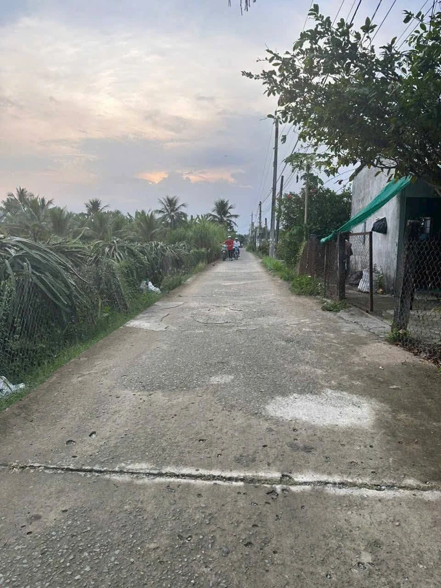 Bán đất lúa 1100m² Châu Thành Long An, 1 tỷ 150 triệu - Ảnh thu nhỏ 3