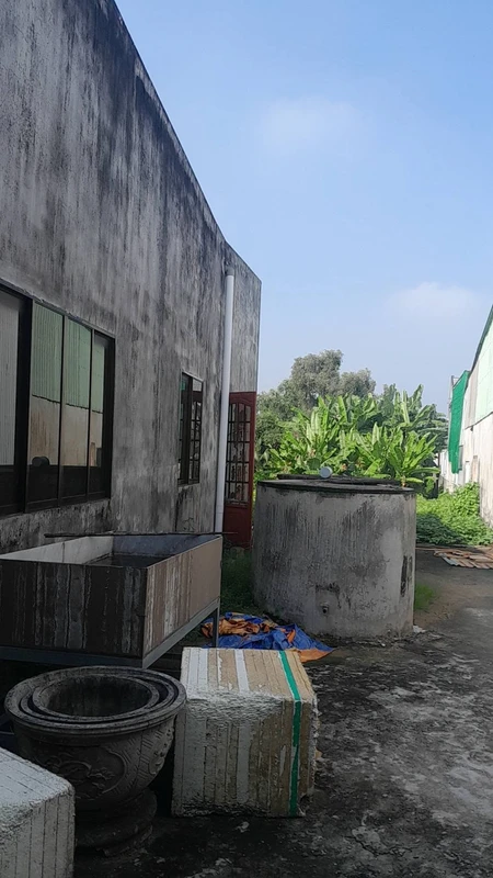 Bán đất mặt tiền 9,5 x 85 m (807,5 m²) 6,5 tỷ Thủ Thừa