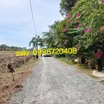 Bán đất Châu Thành Tây Ninh 10×107m, 350 triệu - Ảnh thu nhỏ 1