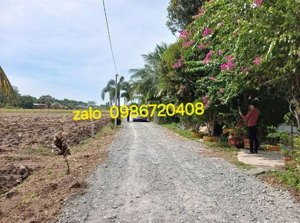 Bán đất Châu Thành Tây Ninh 10×107m, 350 triệu - Ảnh 1