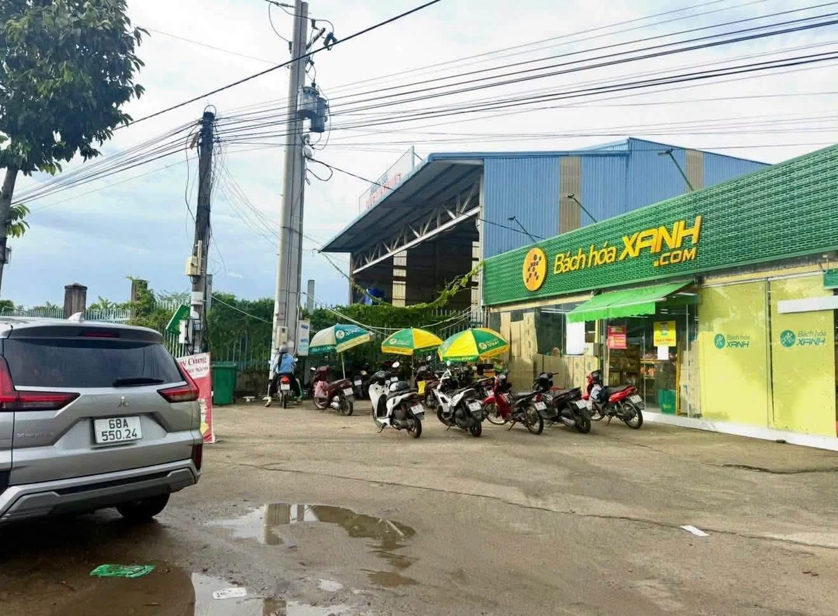 Bán đất nền Thạnh Lộc 400m², gần KCN Kiên Giang - Ảnh thu nhỏ 5