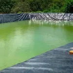 Bán đất sầu nước ngoài 8ha tại Bù Đăng, Bình Phước - Ảnh thu nhỏ 2