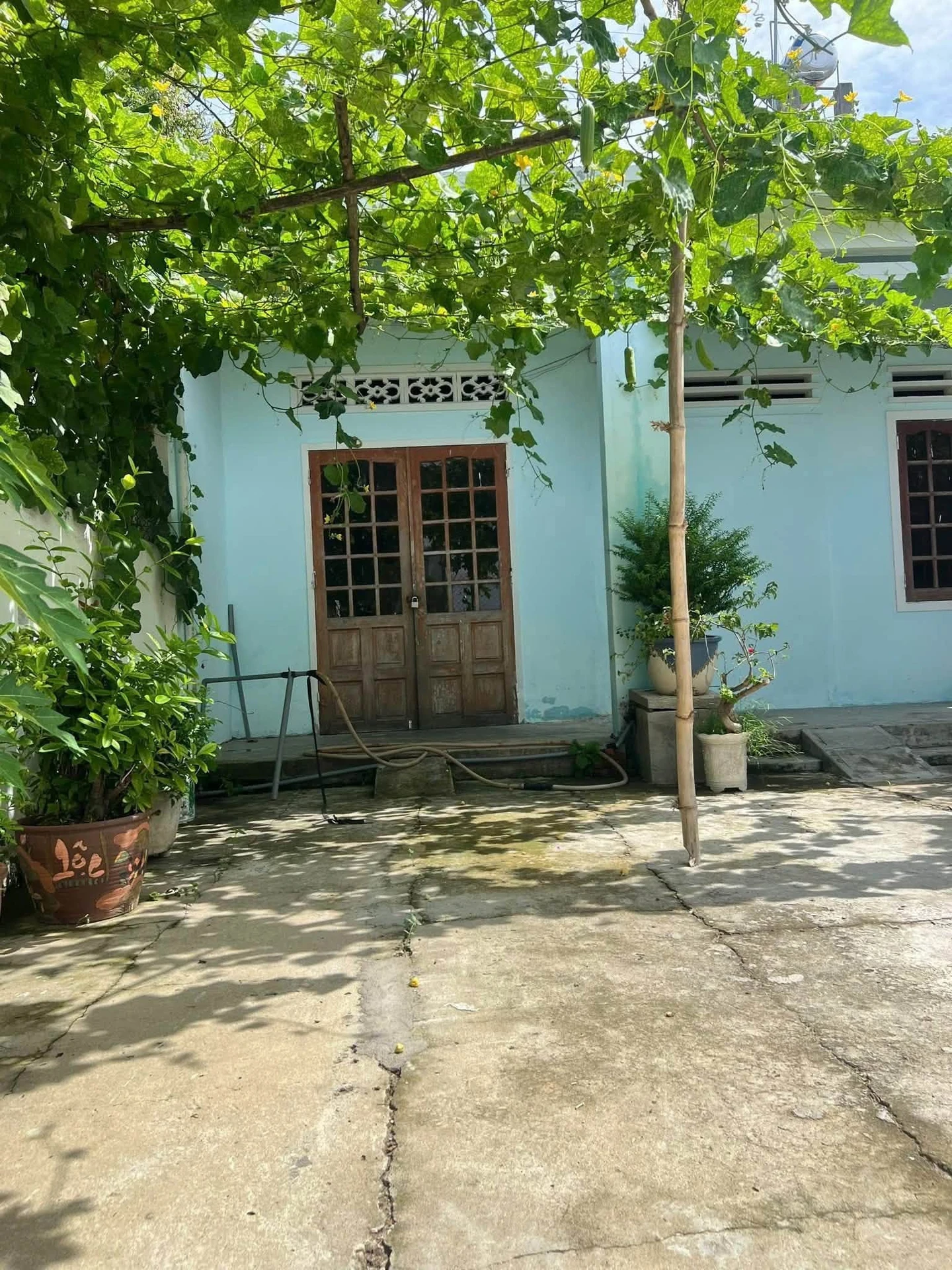 Bán nhà vườn cấp 4 An Phú 178m2, 1,19 tỷ - Ảnh 1