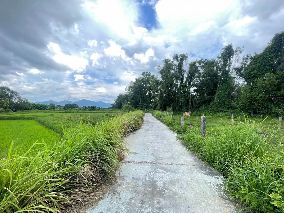Bán đất cây lâu năm 1.000m² Xã Hàm Liêm 420 triệu - Ảnh thu nhỏ 3