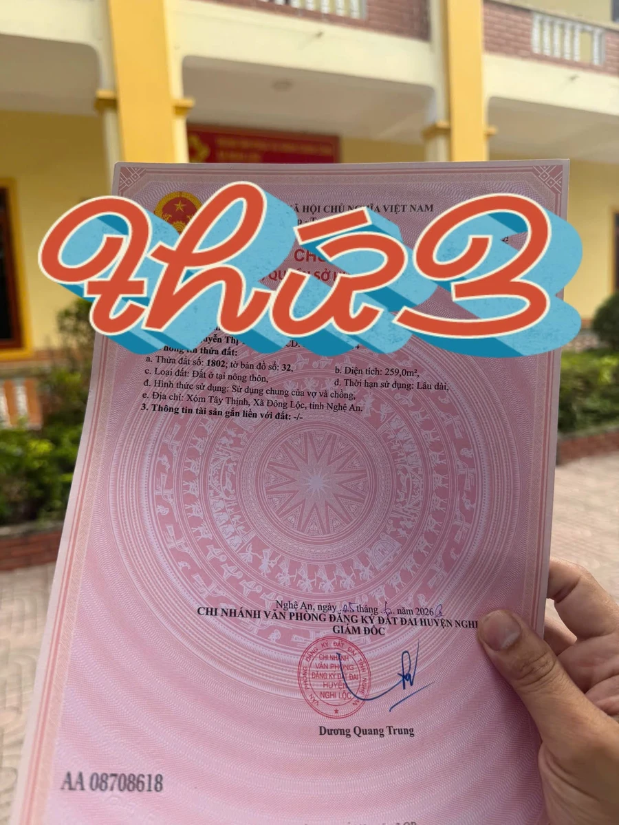 Bán đất full thổ cư 260m2 Đông Lộc - Ảnh thu nhỏ 5