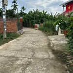 Bán đất vườn 520m² giá 1.5 tỷ Nghĩa Dõng - Ảnh thu nhỏ 4