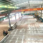 Nhà xưởng kiên cố Tân Thạnh Tây 2.200m² 37 tỷ - Ảnh thu nhỏ 1