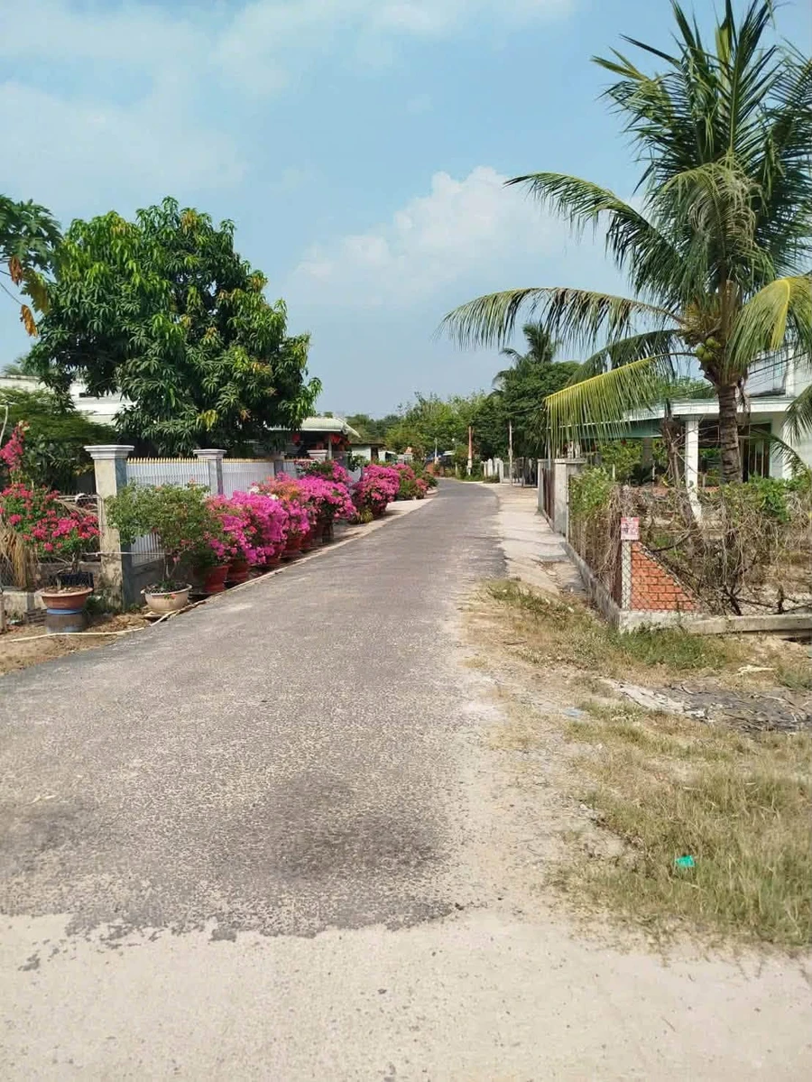 Bán đất 205 m² mặt tiền, sổ hồng riêng Tân Phong - Ảnh thu nhỏ 3