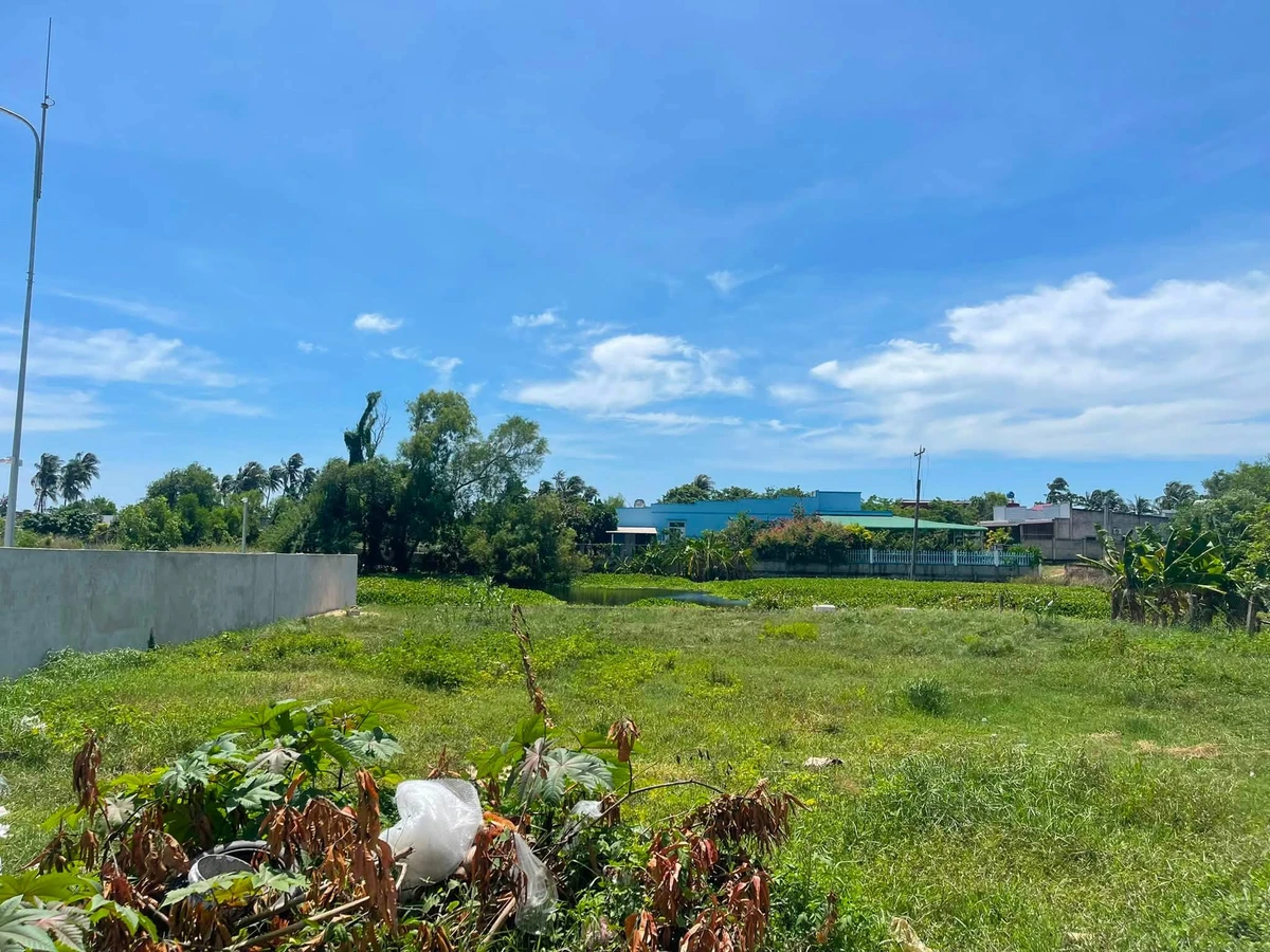 Bán đất Mũi Kê Gà 261m² gần biển 2 tỷ - Ảnh thu nhỏ 3