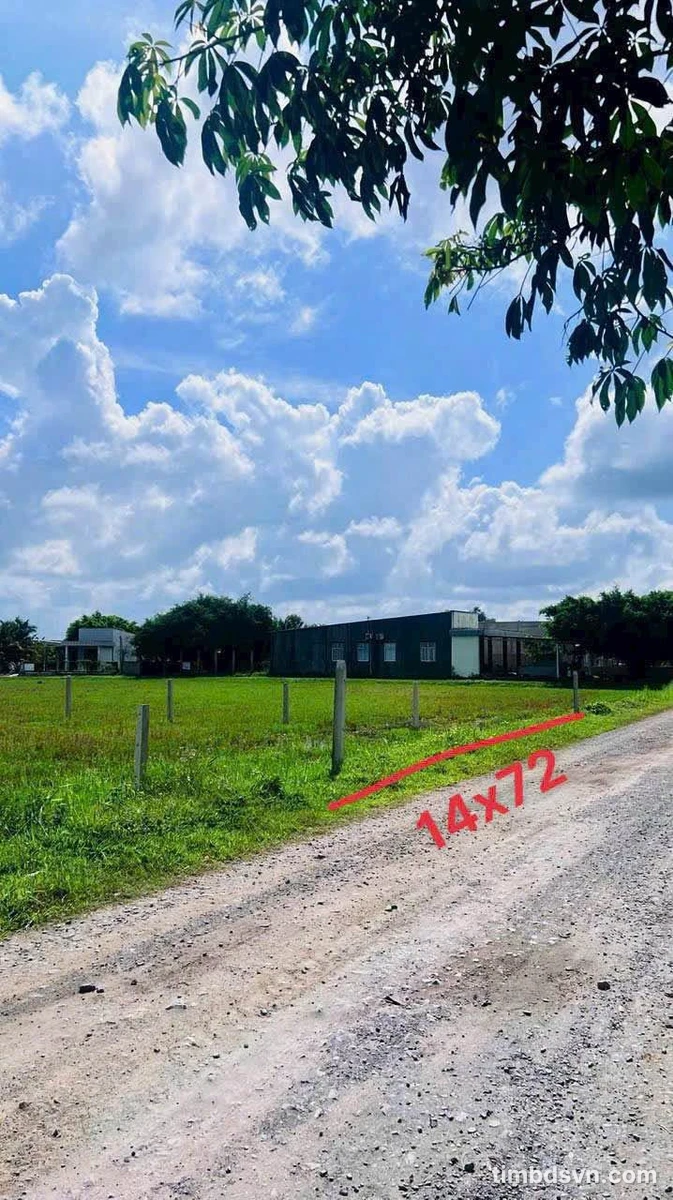 Bán đất 1000m² Nhà Bè gần vòng xoay Hòa Khánh - Ảnh thu nhỏ 3