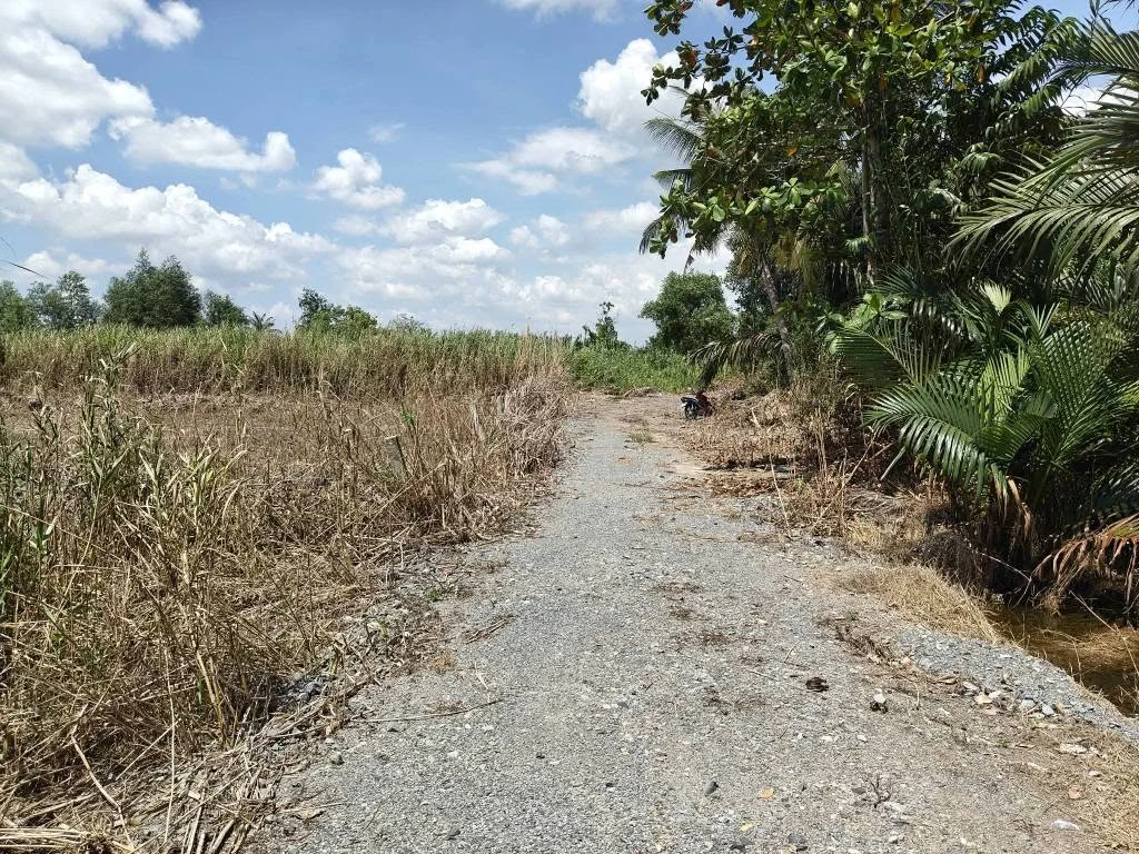 Bán đất vườn 3000m² Thạnh Hoà Bến Lức Long An 2 tỷ 550 - Ảnh thu nhỏ 4