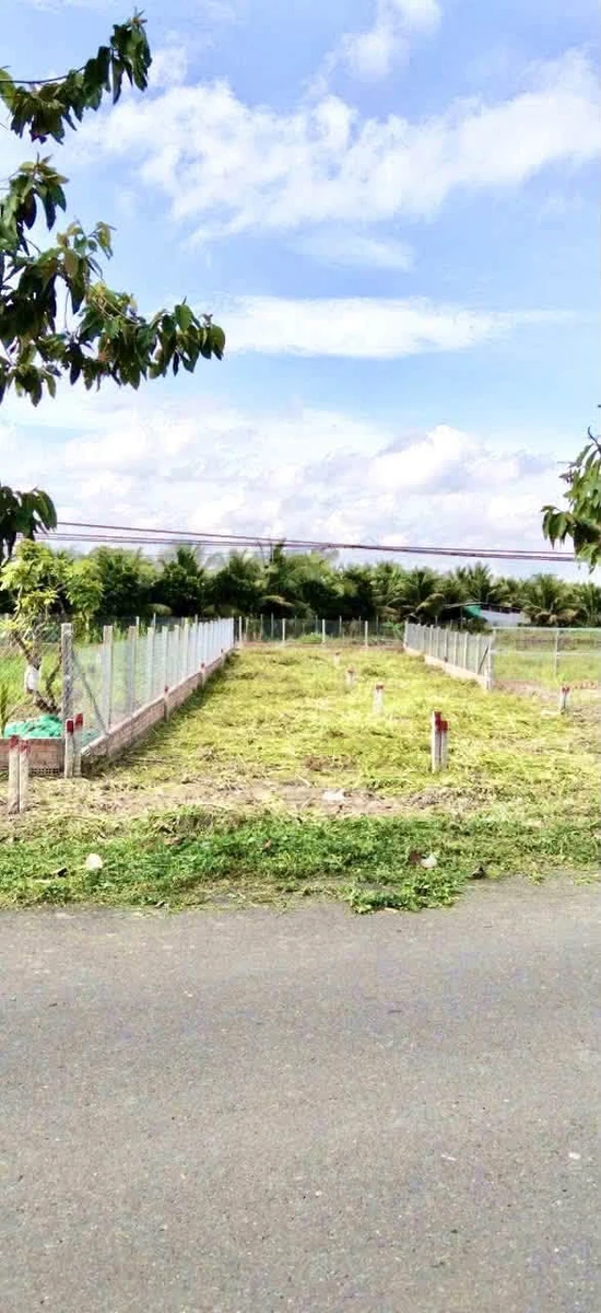 Bán 2 thửa đất mặt tiền tỉnh lộ 908, Vĩnh Long, 485 m² - Ảnh thu nhỏ 4