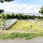 Bán 2 thửa đất mặt tiền tỉnh lộ 908, Vĩnh Long, 485 m² - Ảnh thu nhỏ 4