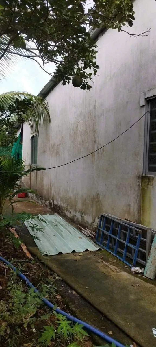 Bán nhà 2PN với đất KCN Giao Long, Bình Dương, 554m2, 1,05 tỷ - Ảnh thu nhỏ 4
