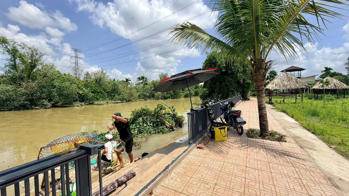 Bán đất nền Làng Bưởi Tân Triều 76–110m² từ 889 triệu - Ảnh thu nhỏ 5