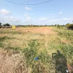 Chính chủ bán gấp 5600m2 đường Tỉnh 881 nhựa 10m, cách Phà Mỹ An 1km,giá 1tr160/m2 - Ảnh thu nhỏ 25