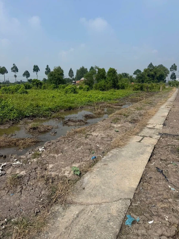 Bán 2400m² đất lúa sổ hồng Tây Ninh 750tr/1000m²