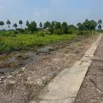 Bán 2400m² đất lúa sổ hồng Tây Ninh 750tr/1000m² - Ảnh thu nhỏ 1