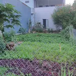 Bán lô đất hẻm 133m² Lê Quý Đôn, giá 1 tỷ 690 triệu - Ảnh thu nhỏ 3