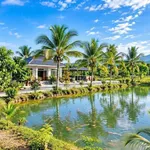 Bán đất vườn 1000m2, mặt tiền 37m, Long Khánh - Ảnh thu nhỏ 3