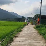 Bán đất 600m² Hoà Phú Hoà Vang 1 tỷ 5 - Ảnh thu nhỏ 1