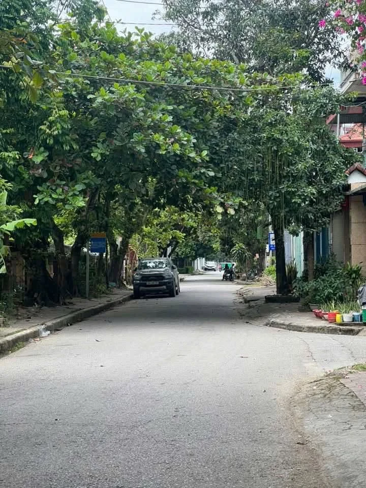 Bán nhà đất 98,4m² Phường Thanh Bình, vừa ở vừa kinh doanh - Ảnh thu nhỏ 3