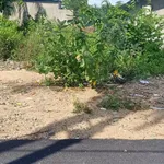 Bán đất Cam Phúc Nam Cam Ranh 203m² 1 tỷ 7 - Ảnh thu nhỏ 1