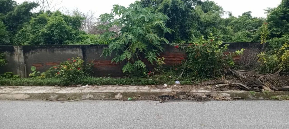 Bán mảnh vườn đất 3.000m² mặt đường Tân Thành Đồ Sơn 7.5 tỷ - Ảnh thu nhỏ 2