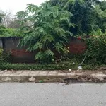 Bán mảnh vườn đất 3.000m² mặt đường Tân Thành Đồ Sơn 7.5 tỷ - Ảnh thu nhỏ 2