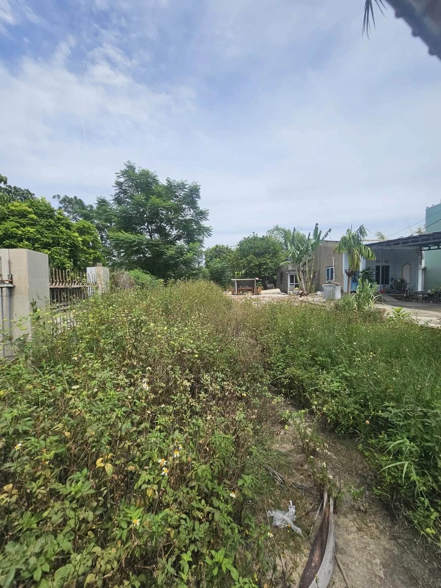 Bán đất lô góc 226,9m² Hòa Xuân, Đà Nẵng - 5 tỷ - Ảnh thu nhỏ 2