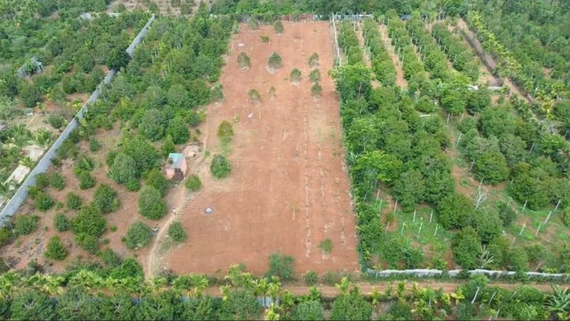 Bán đất nông nghiệp 1.168m² Hoà Thuận Tân An