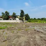 Bán đất Đức Tân (Vàm Cỏ) 57-150m² giá 250-550 triệu - Ảnh thu nhỏ 3