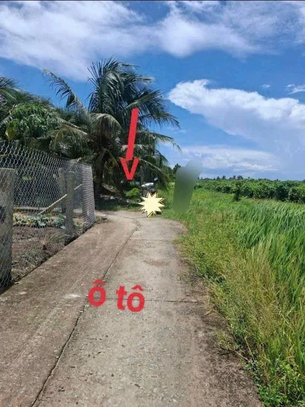 Bán đất 1000m² Lợi Bình Nhơn, Tân An, Long An