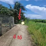 Bán đất 1000m² Lợi Bình Nhơn, Tân An, Long An - Ảnh thu nhỏ 1