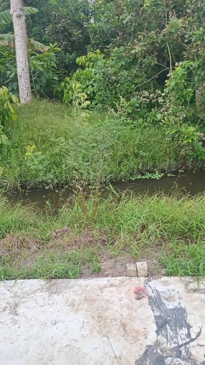 Bán nền đất 150m² giá 290 triệu Long Tuyền Cần Thơ - Ảnh thu nhỏ 3