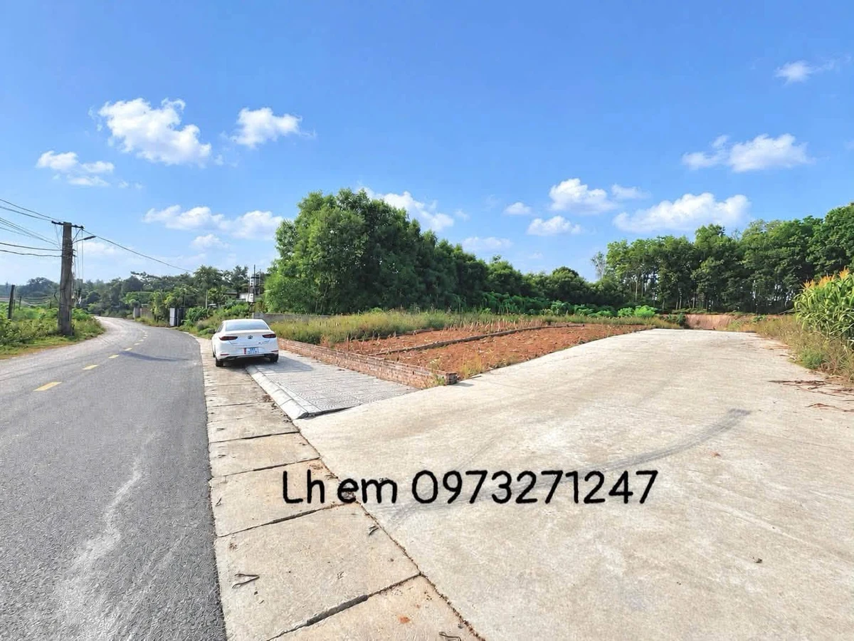 Bán đất Hóc Môn 106,6m² gần cụm công nghiệp Bắc Lâm Thao - Ảnh thu nhỏ 3