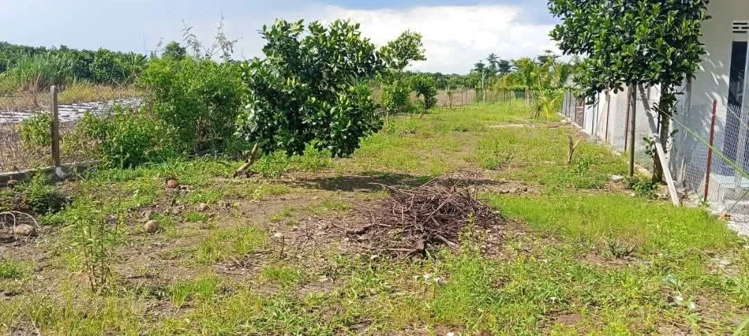 Bán đất 500m² Bảo Vinh Long Khánh Đồng Nai - Ảnh 1