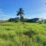 Bán đất kèm nhà cấp 4, 1161m2, Tuyên Quang, Lâm Đồng - Ảnh thu nhỏ 3