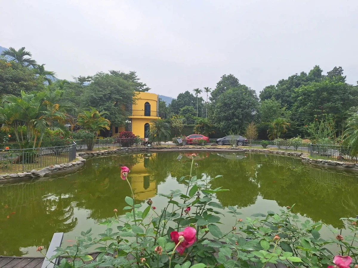 Bán biệt thự 5200m² Cư Yên Lương Sơn 35 tỷ - Ảnh 1