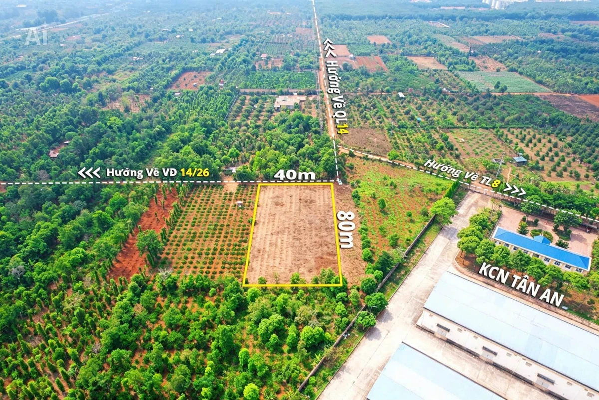 Bán 3,2 sào đất trống phường Tân An, hẻm cấp 1 vành đai QL14 và QL26, giá 4 tỷ - Ảnh thu nhỏ 5