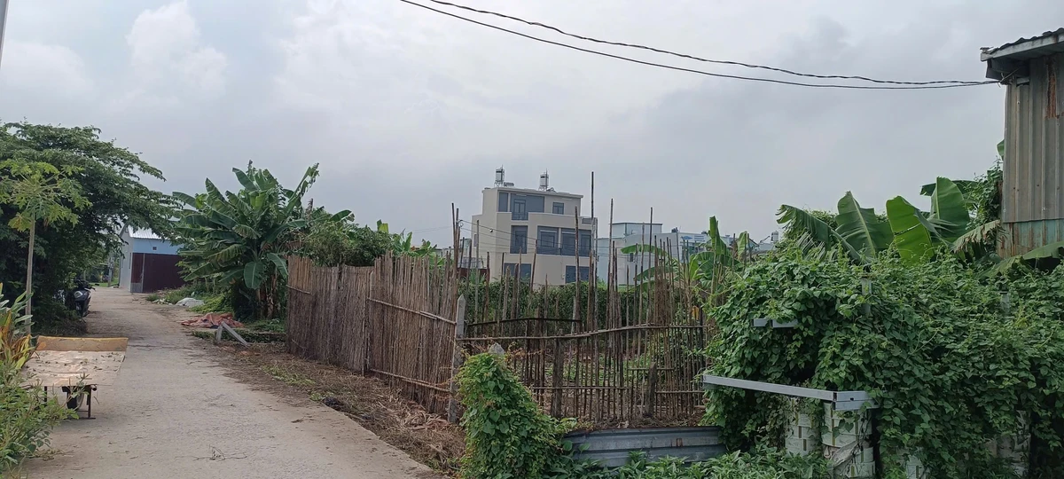 Bán đất vườn hẻm ôtô 215m² Bình Mỹ 1 tỷ 50 triệu - Ảnh thu nhỏ 4