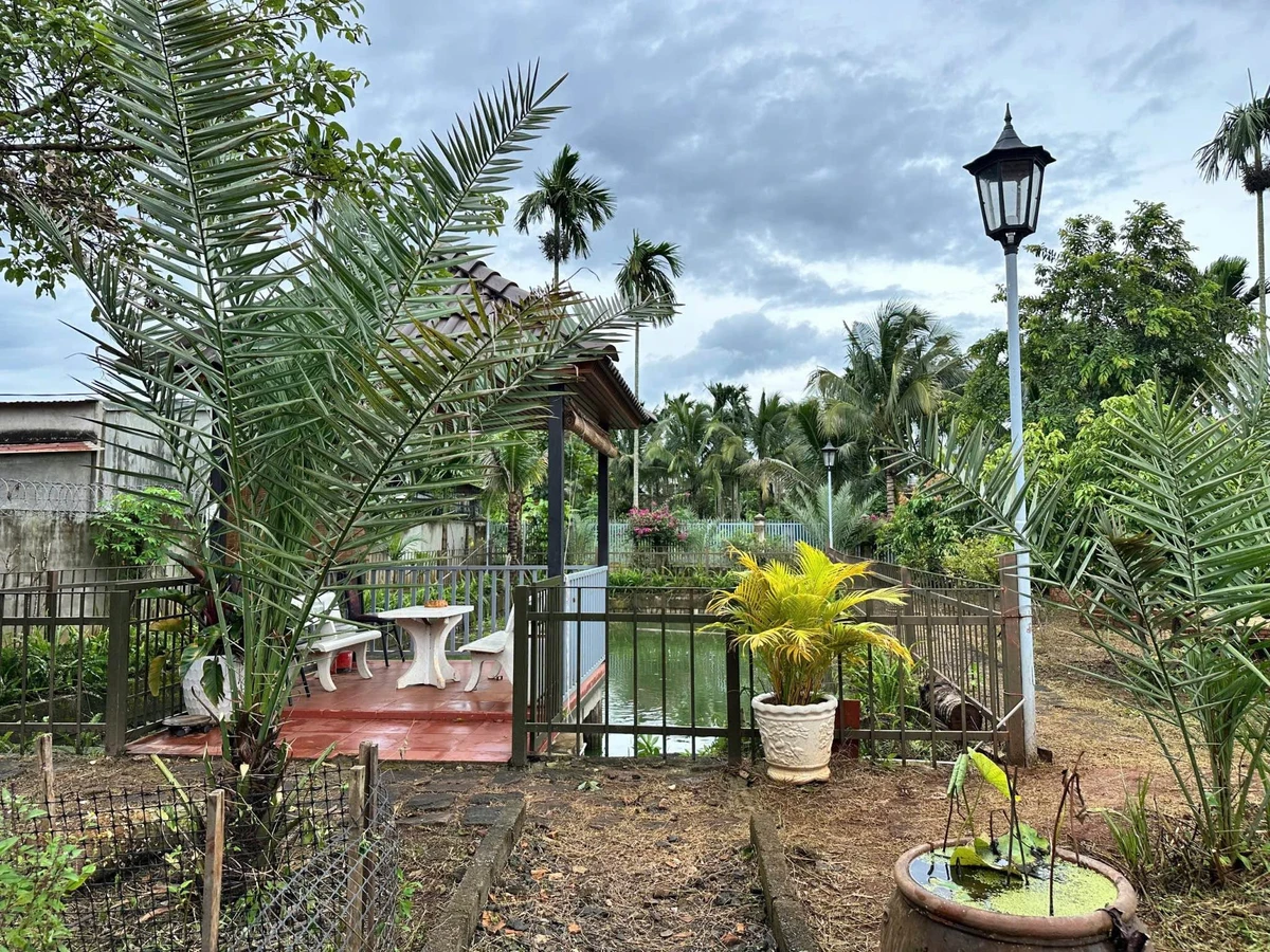Bán nhà vườn Buôn Ma Thuột 1012m² gần chợ Đạt Lý 3.65 tỷ - Ảnh thu nhỏ 4