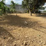Bán đất làm nhà vườn 270,8m² ngang 9,47m giá 2,95 tỷ tại Diên Khánh, Khánh Hòa - Ảnh thu nhỏ 1
