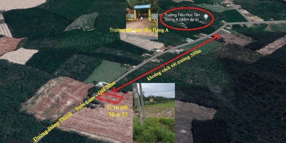 Bán gấp lô đất mặt tiền đường nhựa 30m, 1597m2 tại Tân Đông, Tân Châu, Tây Ninh - Ảnh thu nhỏ 3