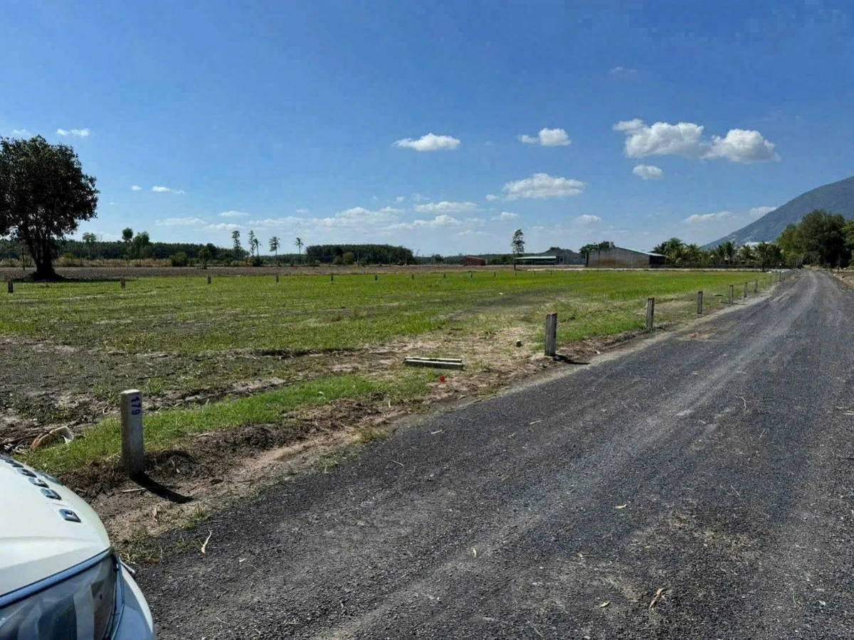 Bán đất xã Phan Cũ 5x26m (130m²) 300 triệu Tây Ninh - Ảnh thu nhỏ 2